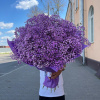 Букет_15 фиолетовых гипсофил