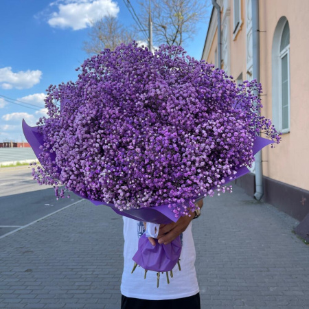 Букет_15 фиолетовых гипсофил