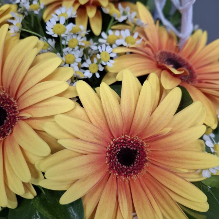 Букет_Корзина с яркими герберами