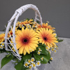 Букет_Корзина с яркими герберами