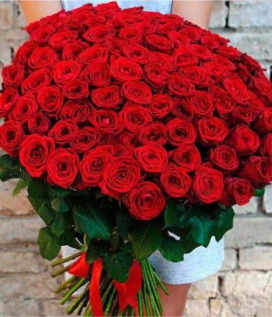 51 красных роз в корейской пленке 40 см