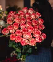 Мечта Мечта