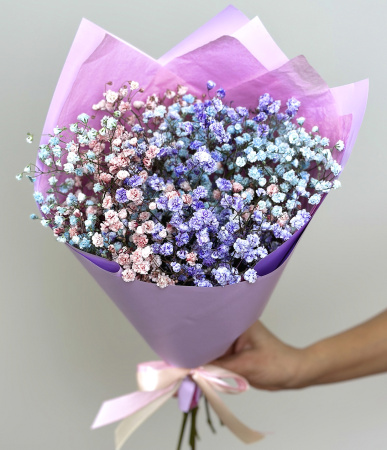 Гипсофила цветная Гипсофила цветная