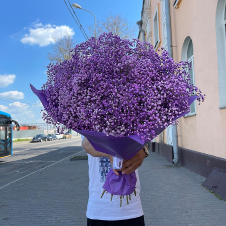 Букет_15 фиолетовых гипсофил
