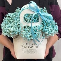 Голубые гипсофилы в сумочке Голубые гипсофилы в сумочке