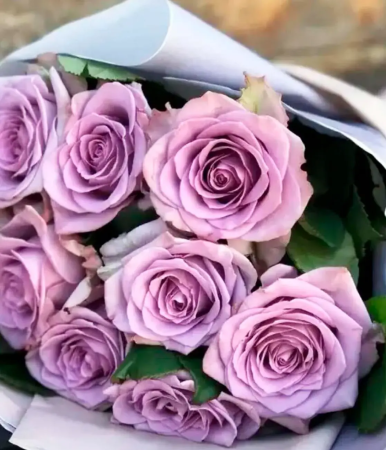 9 фиолетовых роз