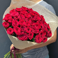 Красные розы в сетке Красные розы в сетке