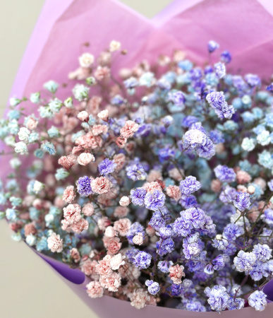 Гипсофила цветная Гипсофила цветная