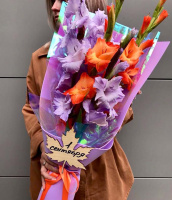 Снова в школу Снова в школу