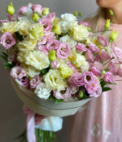 Веселая принцесса Веселая принцесса